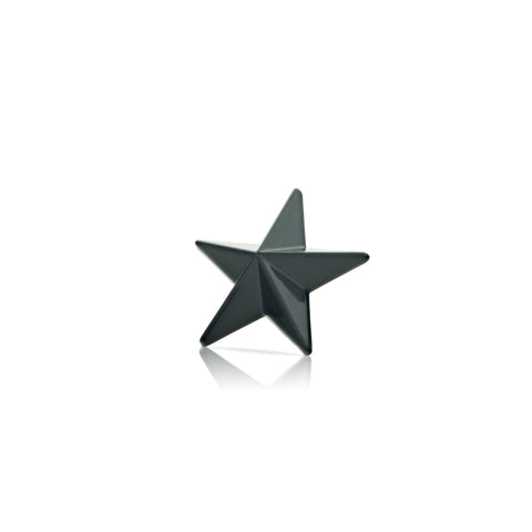 Load image into Gallery viewer, Three-Dimensional Black Star Stud Earring (Single)